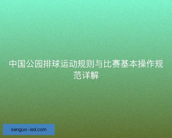 中国公园排球运动规则与比赛基本操作规范详解